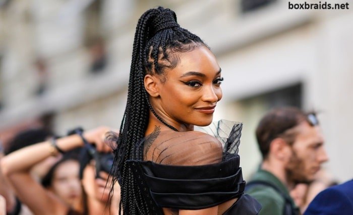 box braids styles pictures