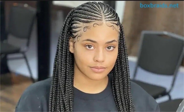 medium sized neat box braids