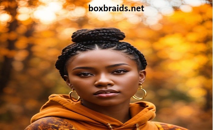 knotless braids vs box braids